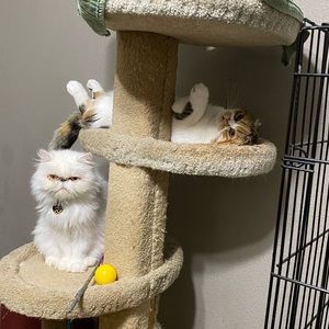 Meet your Posher, Christy